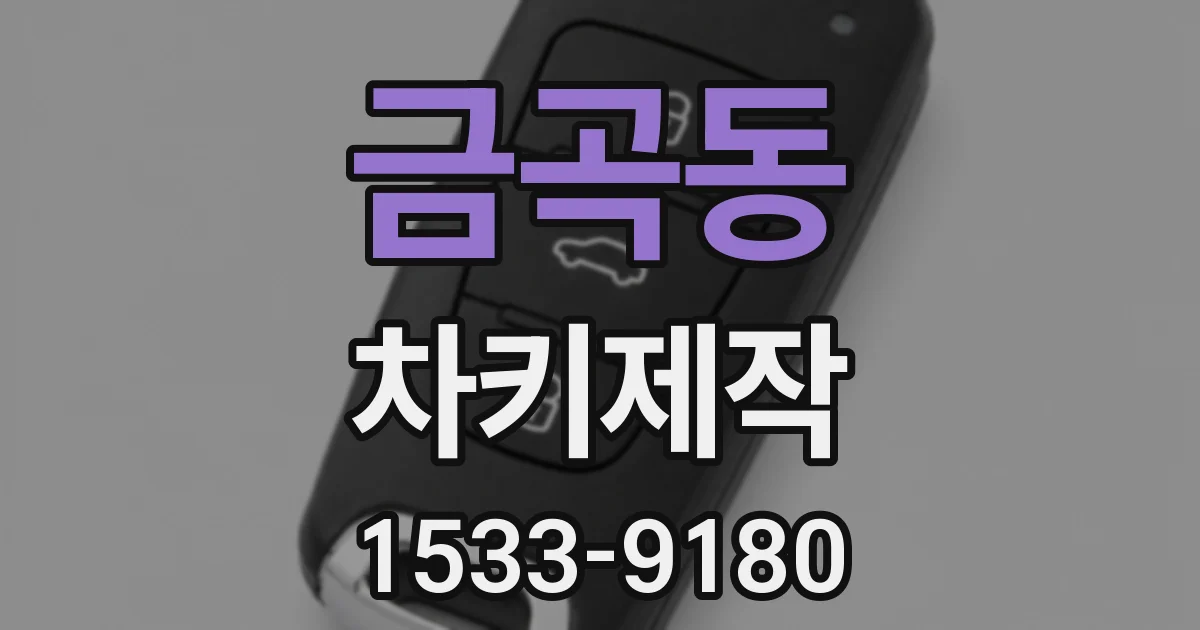 금곡동 차키제작