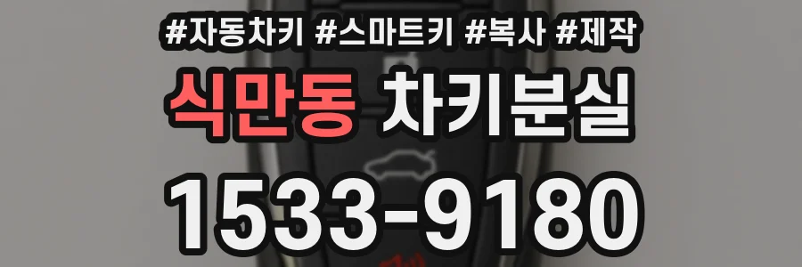 식만동 차키분실