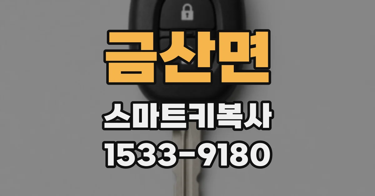 금산면 스마트키복사