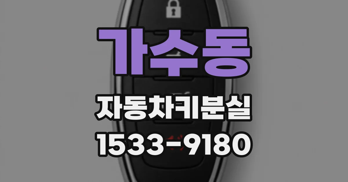 가수동 자동차키분실