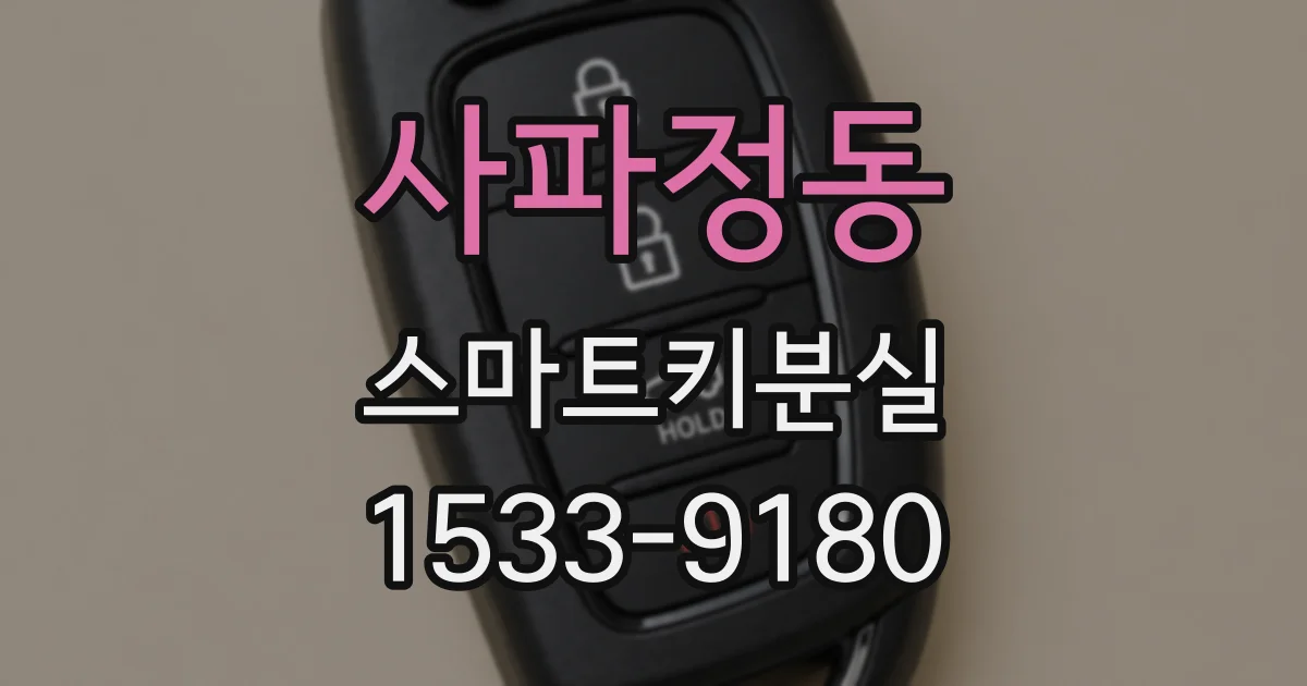 사파정동 스마트키분실