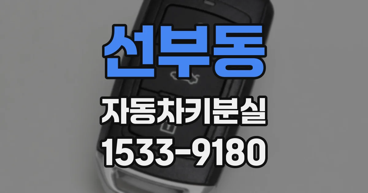 선부동 자동차키분실