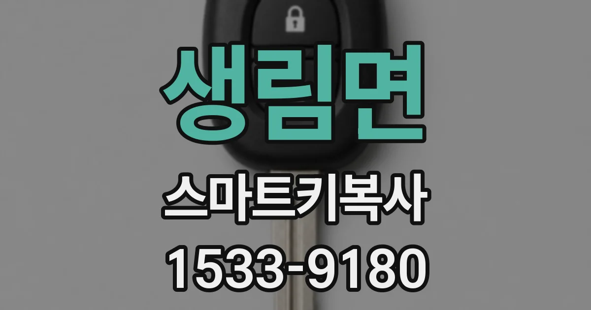 생림면 스마트키복사