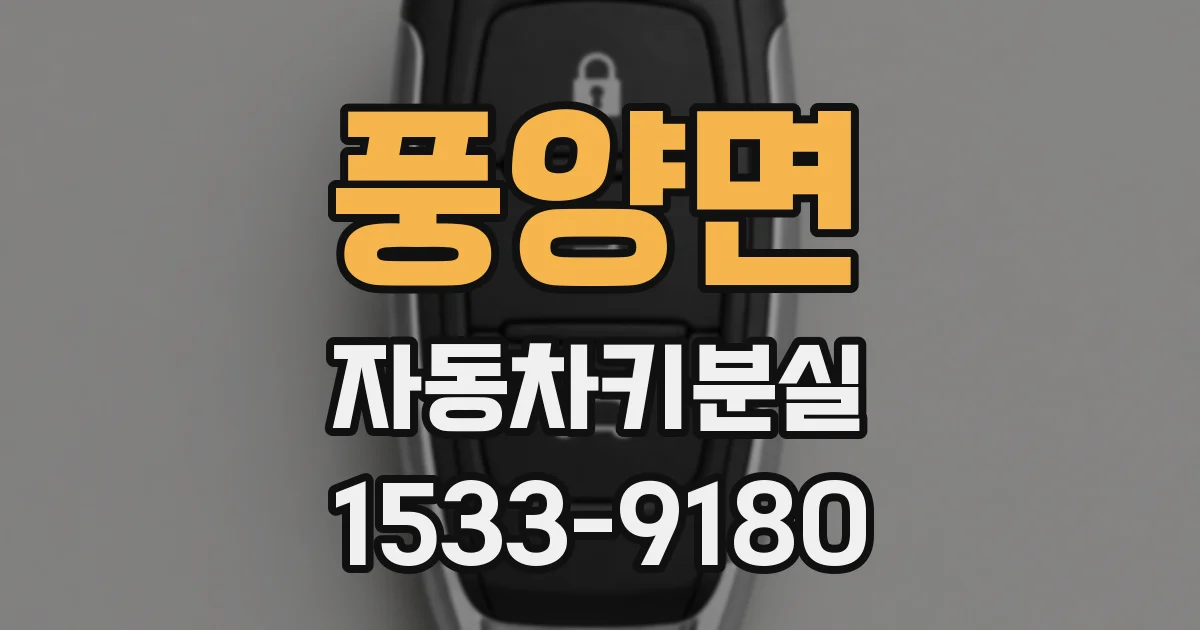 풍양면 자동차키분실