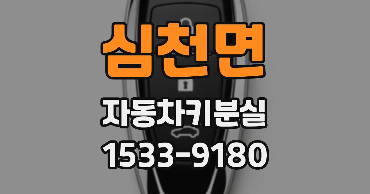 심천면 자동차키분실