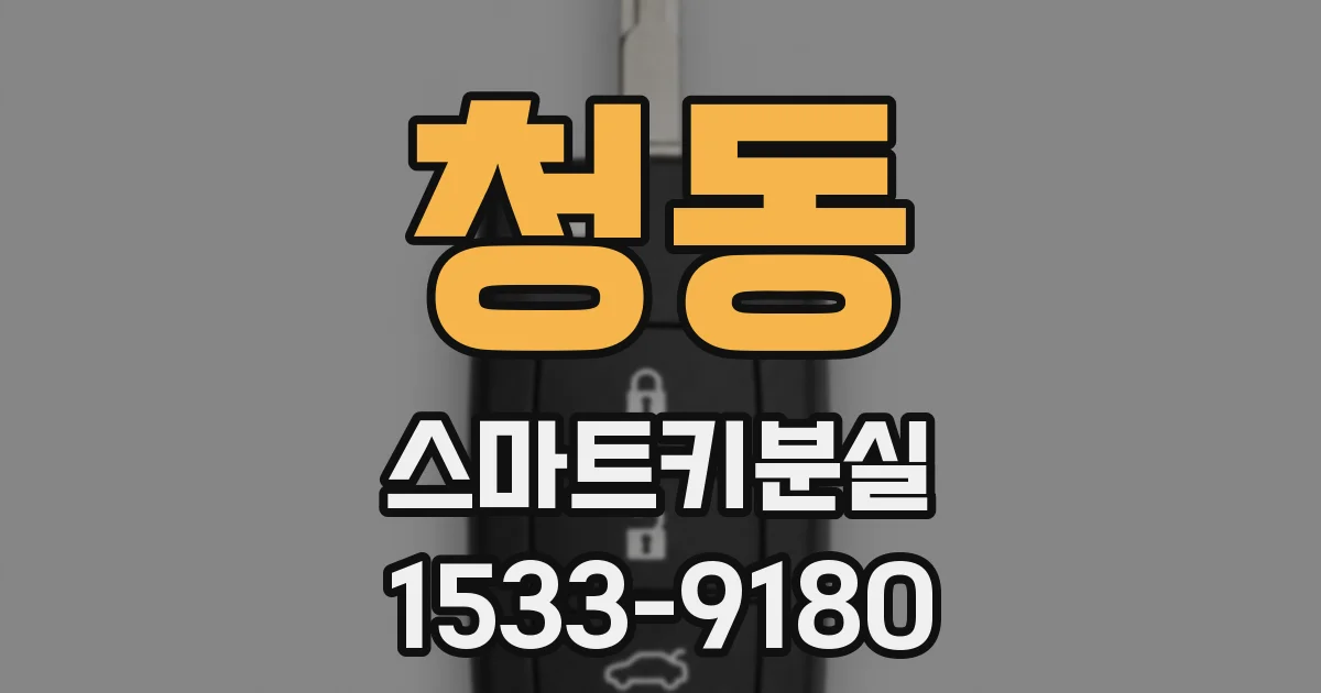 청동 스마트키분실