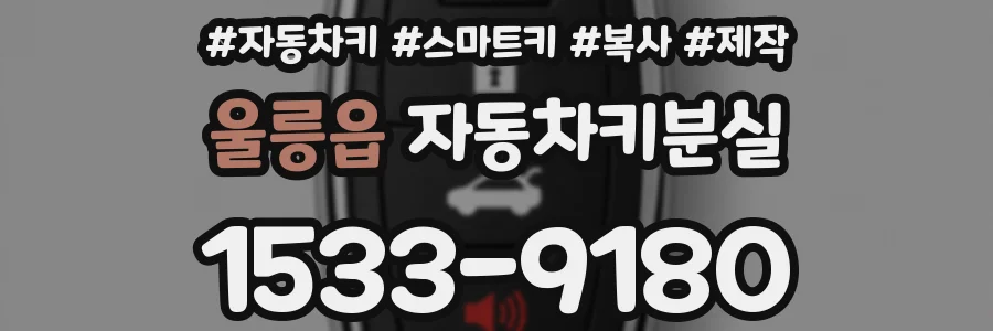 울릉읍 자동차키분실