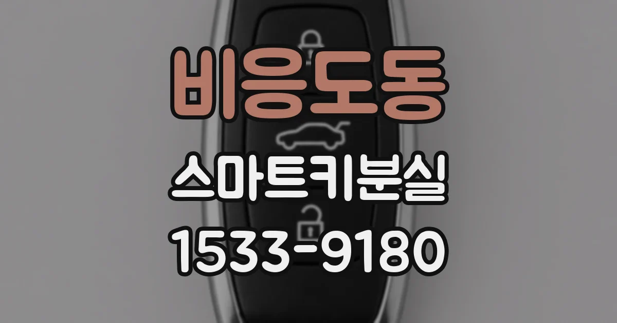 비응도동 스마트키분실