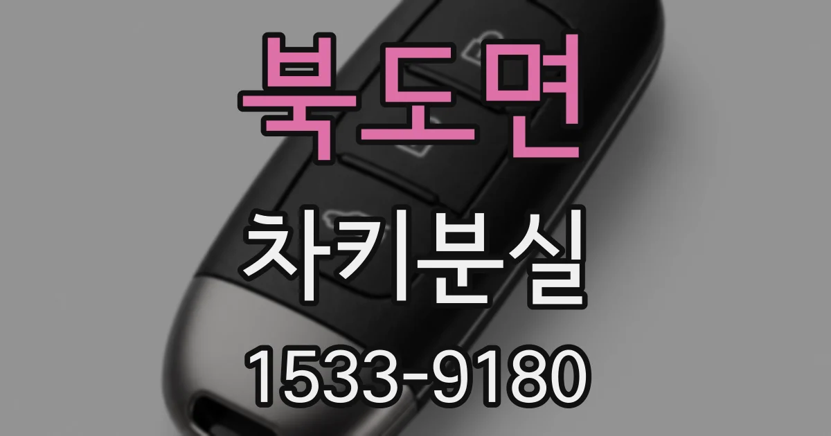 북도면 차키분실