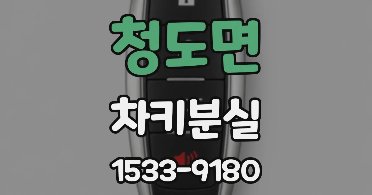 청도면 차키분실