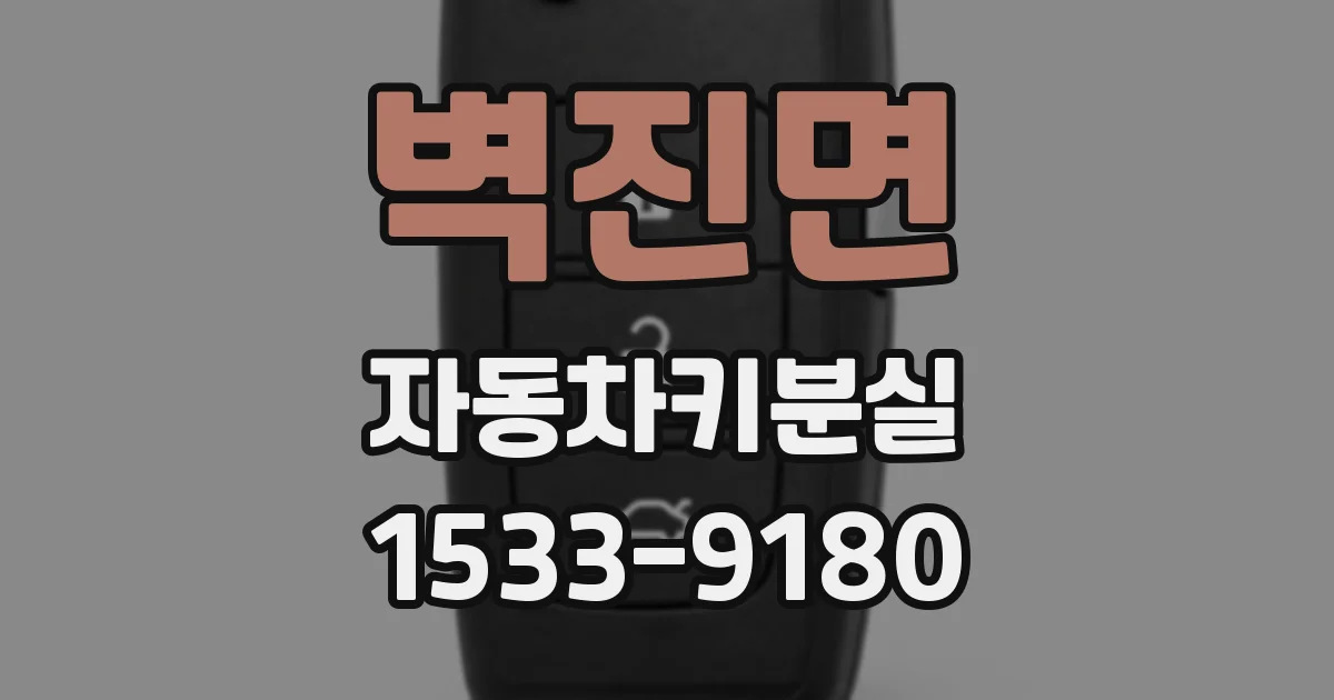 벽진면 자동차키분실