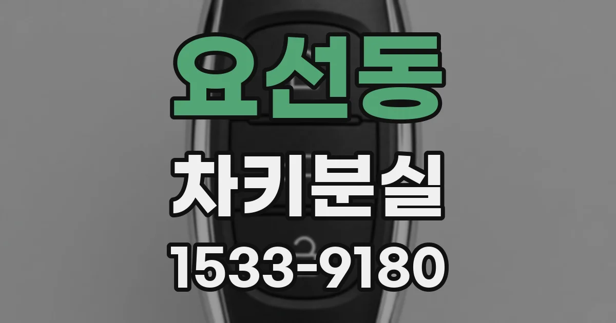 요선동 차키분실