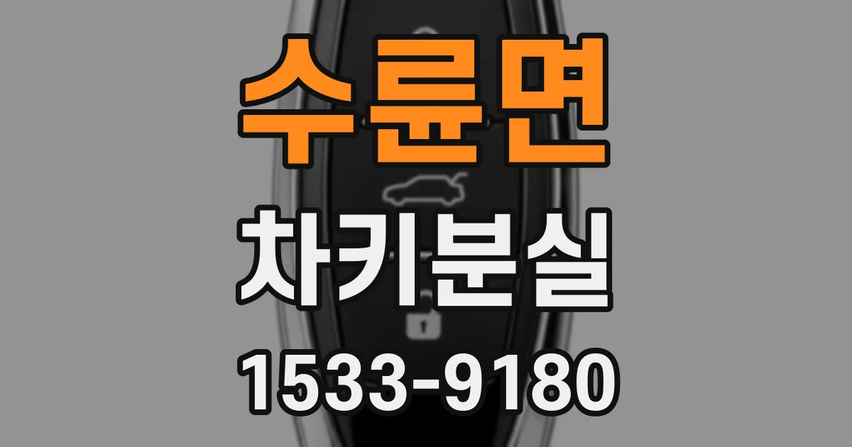 수륜면 차키분실