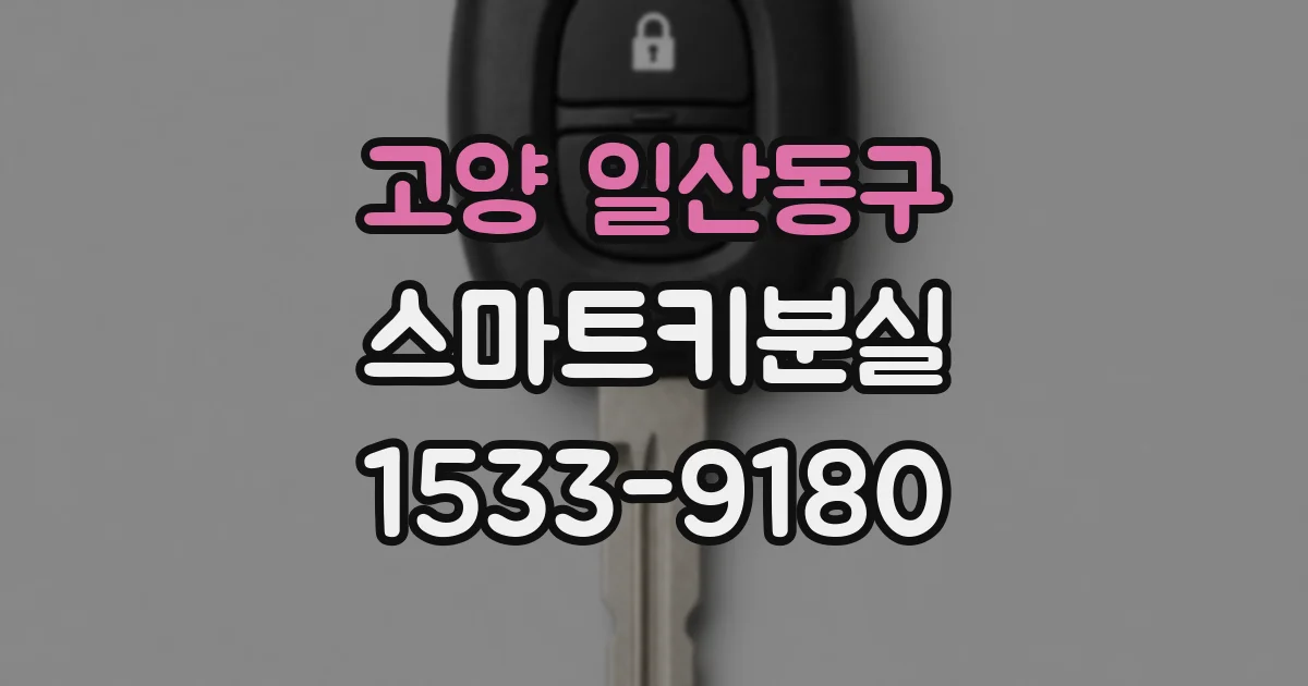 고양 일산동구 스마트키분실