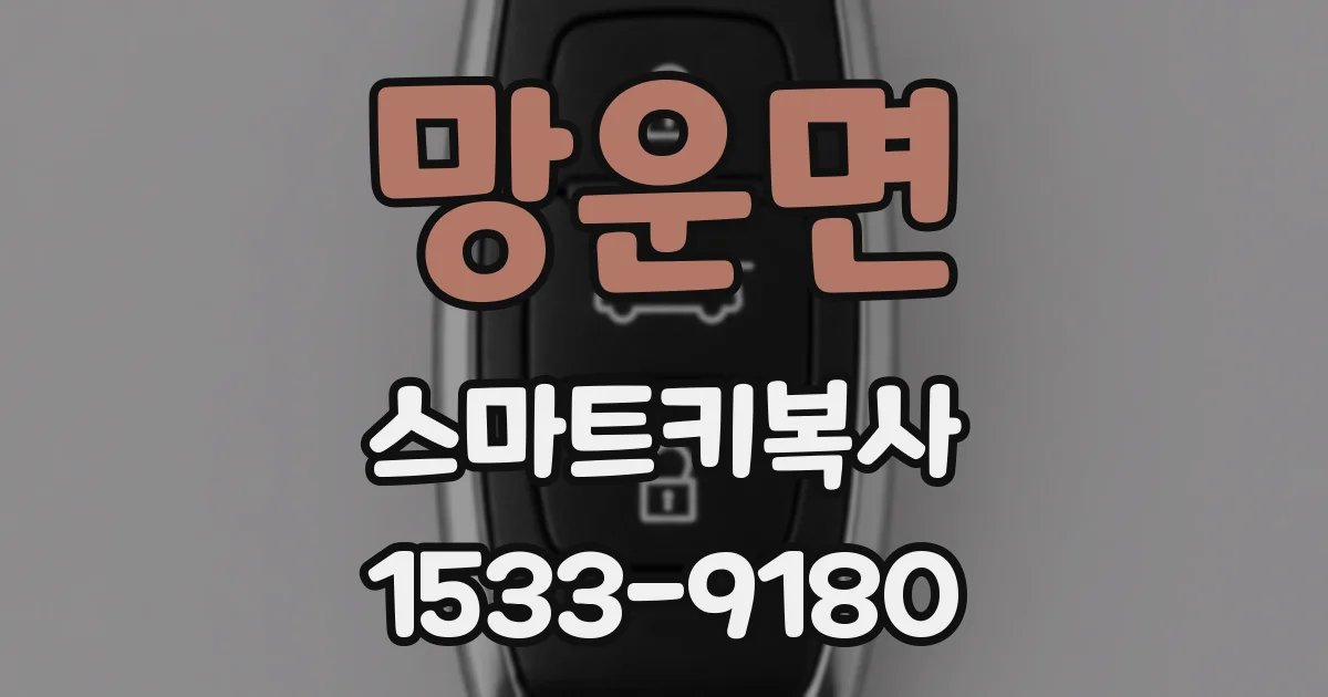 망운면 스마트키복사