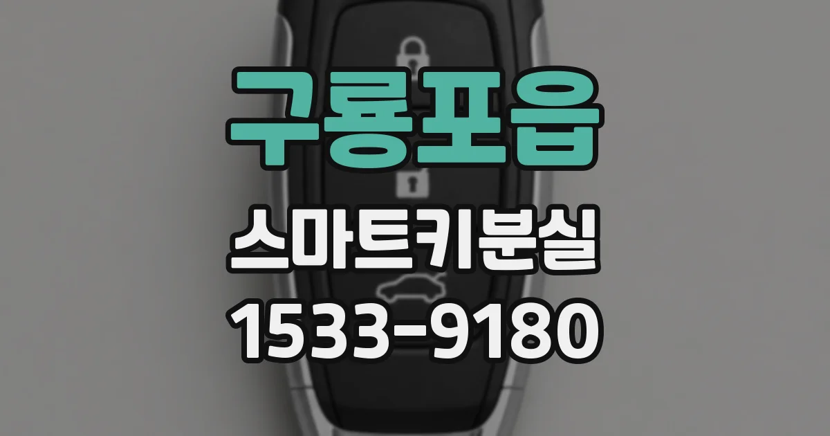 구룡포읍 스마트키분실