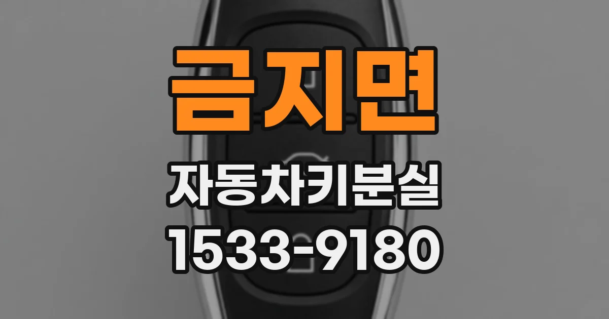 금지면 자동차키분실