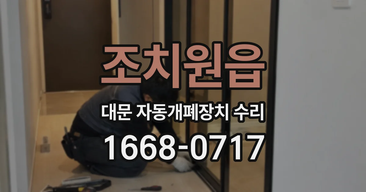 조치원읍 대문 자동개폐장치 수리