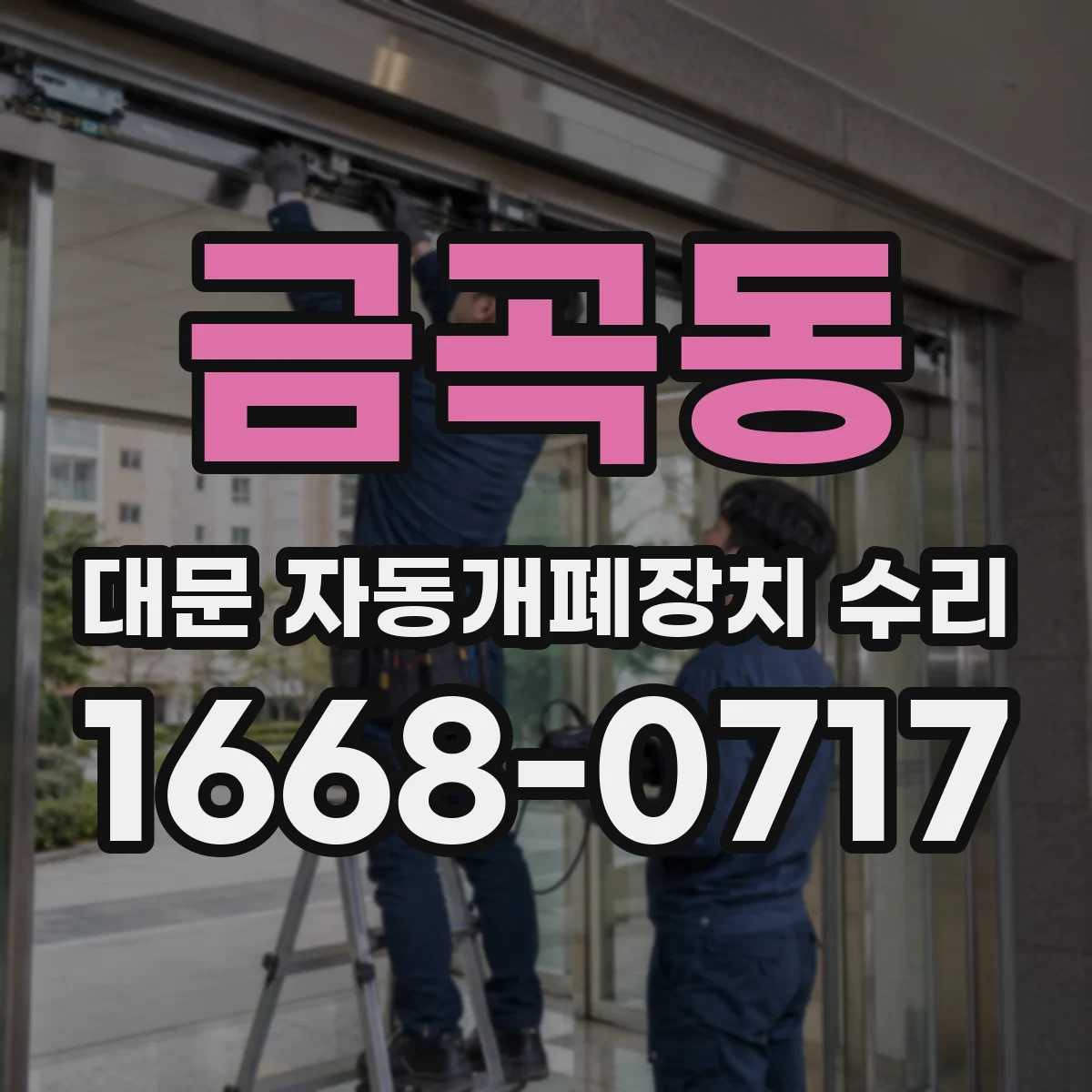 금곡동 대문 자동개폐장치 수리