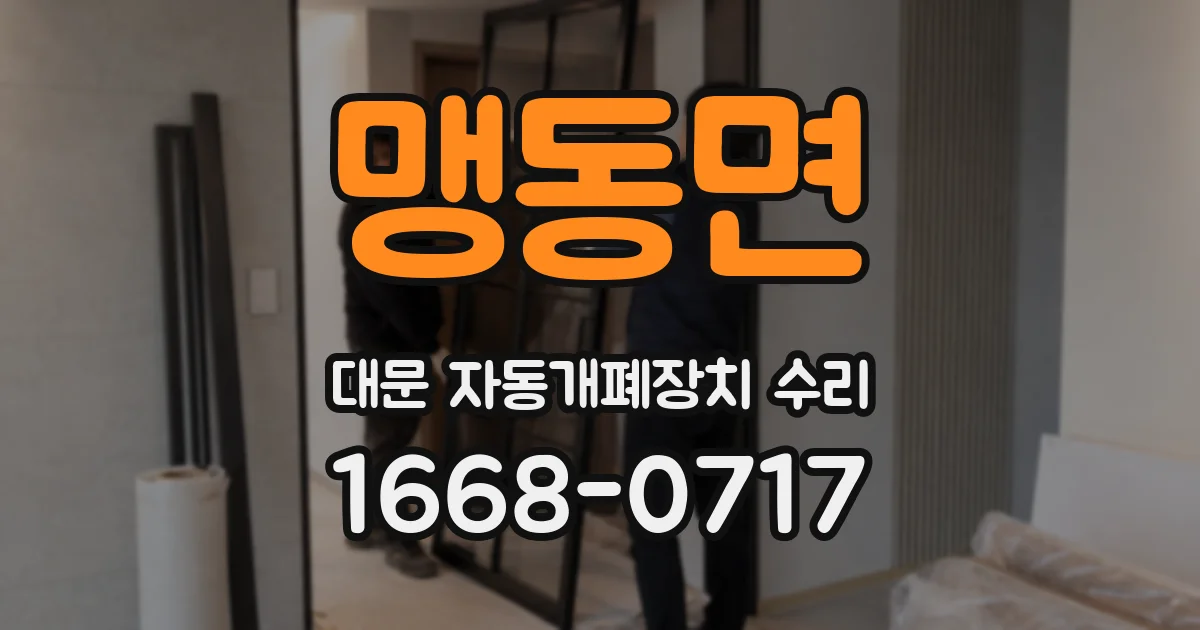 맹동면 대문 자동개폐장치 수리