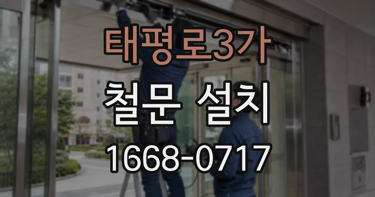 태평로3가 철문 설치