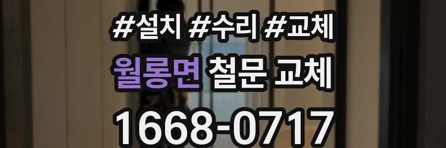 월롱면 철문 교체