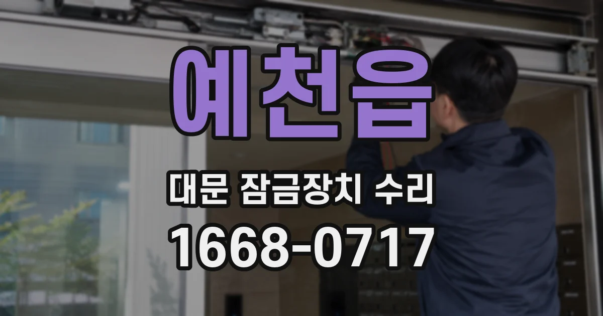 예천읍 대문 잠금장치 수리