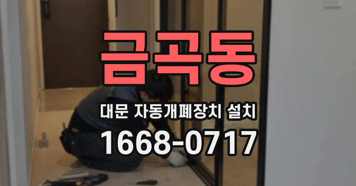 금곡동 대문 자동개폐장치 설치