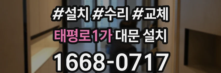 태평로1가 대문 설치
