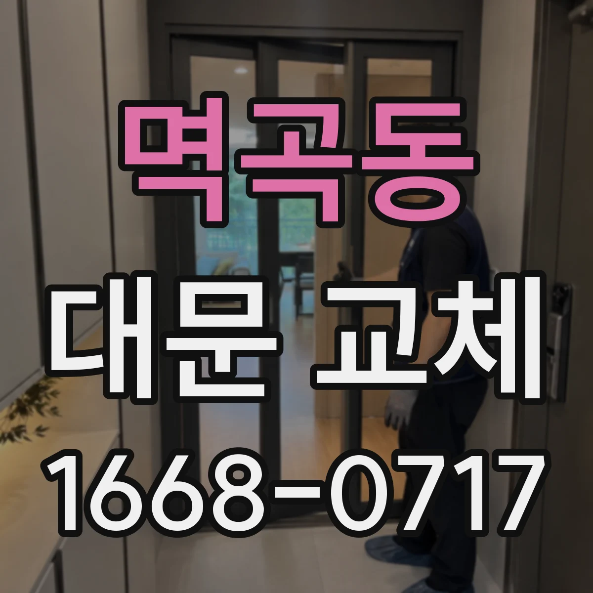 멱곡동 대문 교체