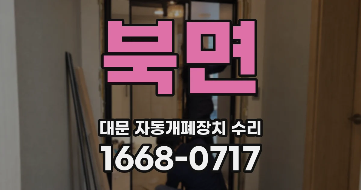 북면 대문 자동개폐장치 수리