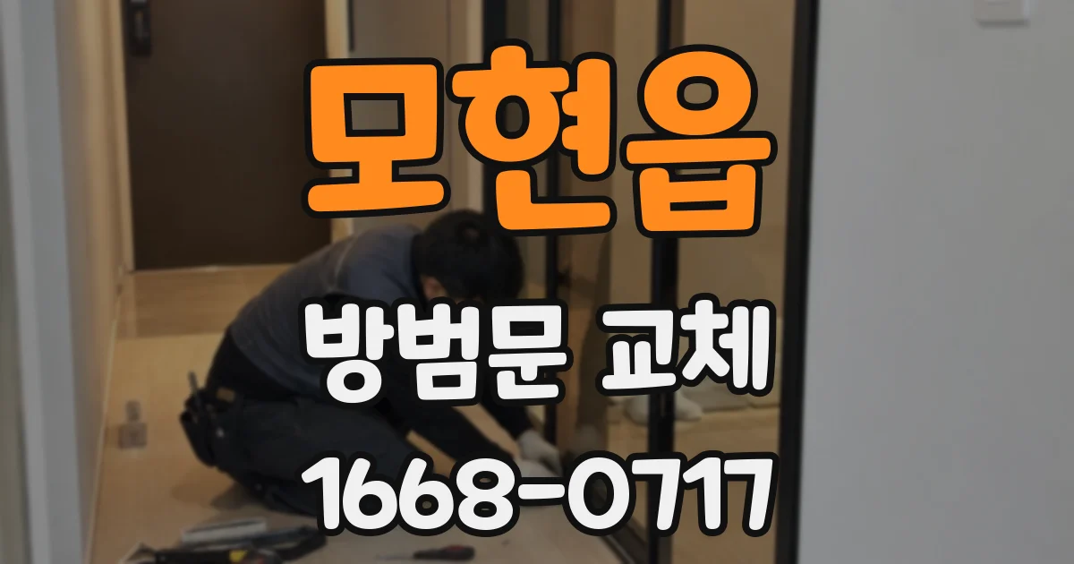 모현읍 방범문 교체