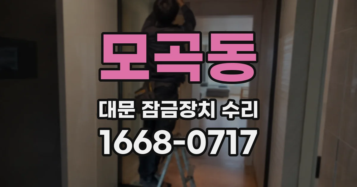 모곡동 대문 잠금장치 수리