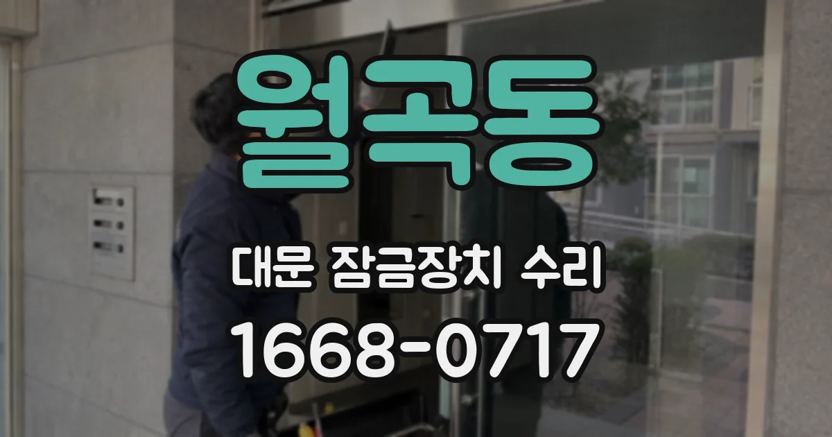 월곡동 대문 잠금장치 수리