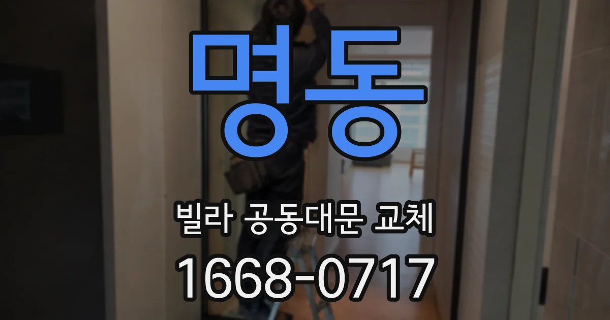 명동 빌라 공동대문 교체