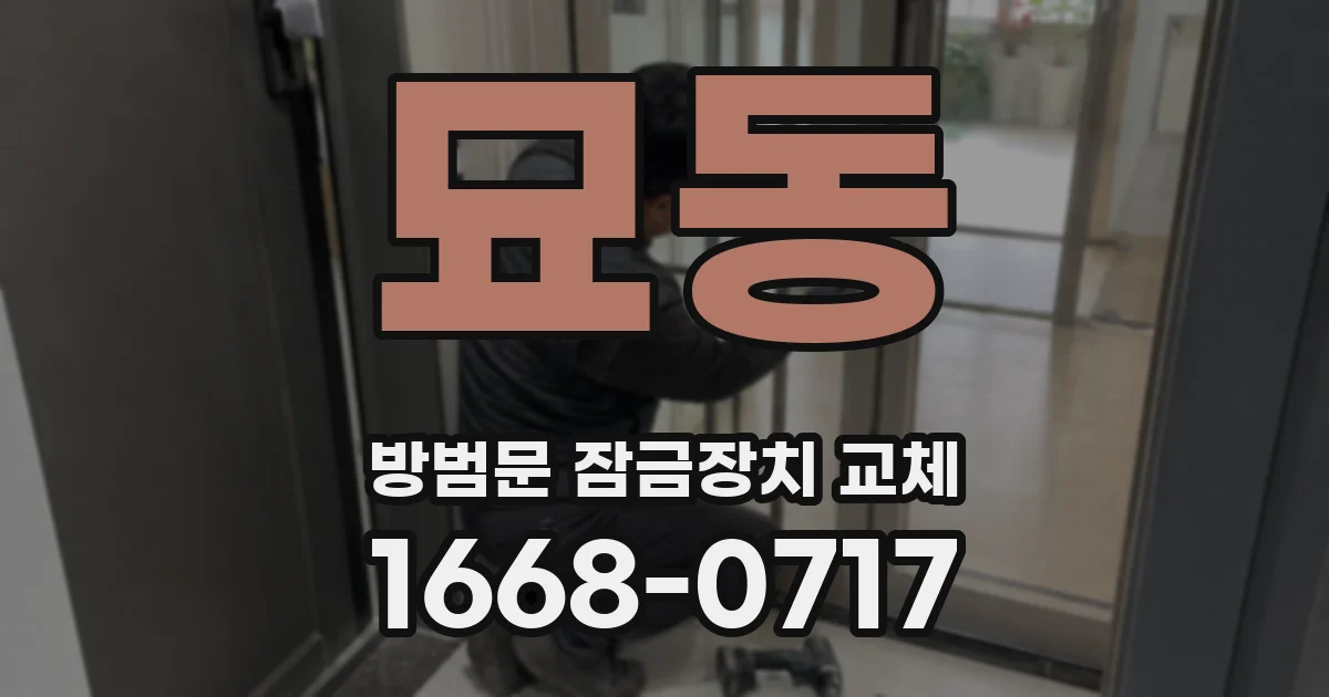 묘동 방범문 잠금장치 교체