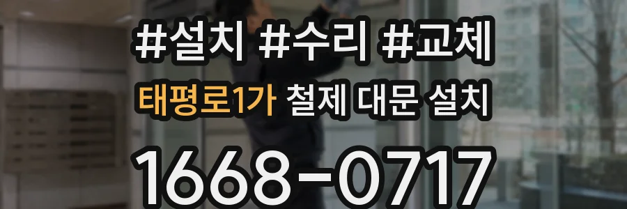 태평로1가 철제 대문 설치