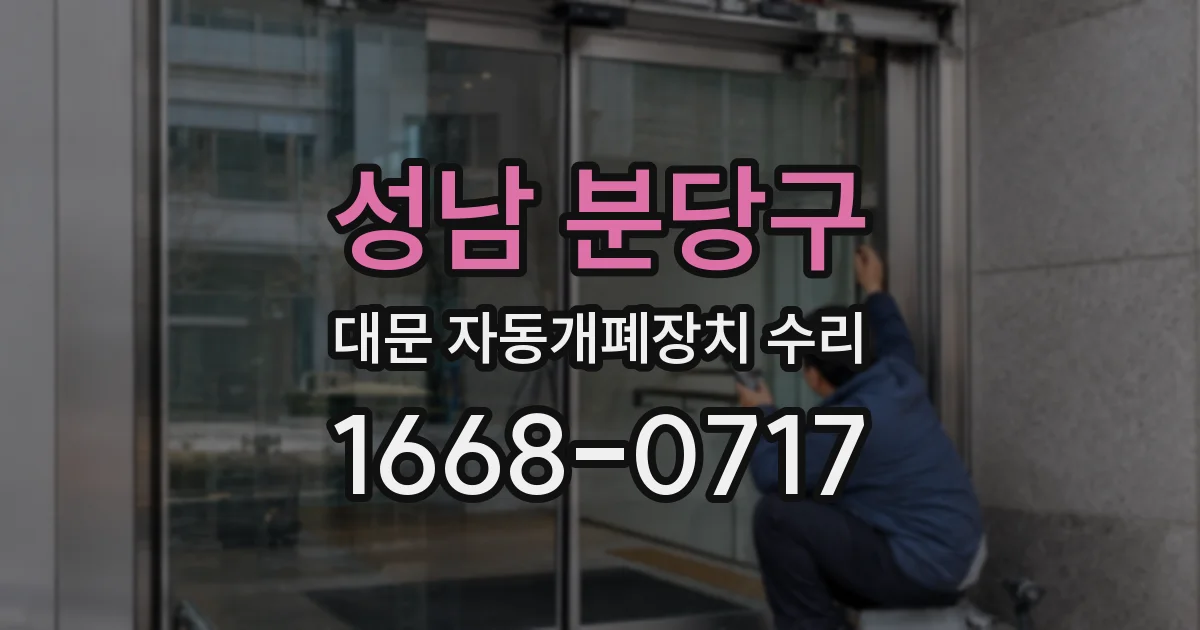 성남 분당구 대문 자동개폐장치 수리