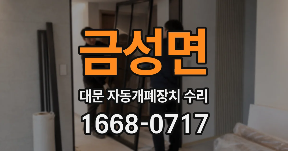 금성면 대문 자동개폐장치 수리