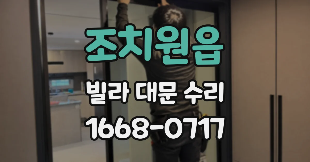 조치원읍 빌라 대문 수리