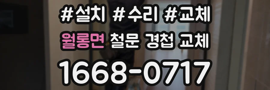 월롱면 철문 경첩 교체
