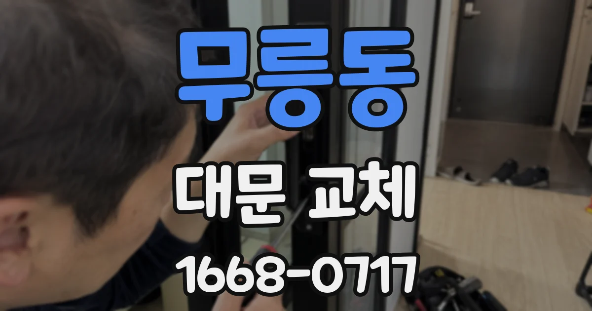 무릉동 대문 교체