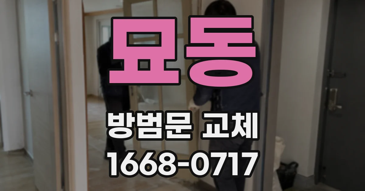 묘동 방범문 교체
