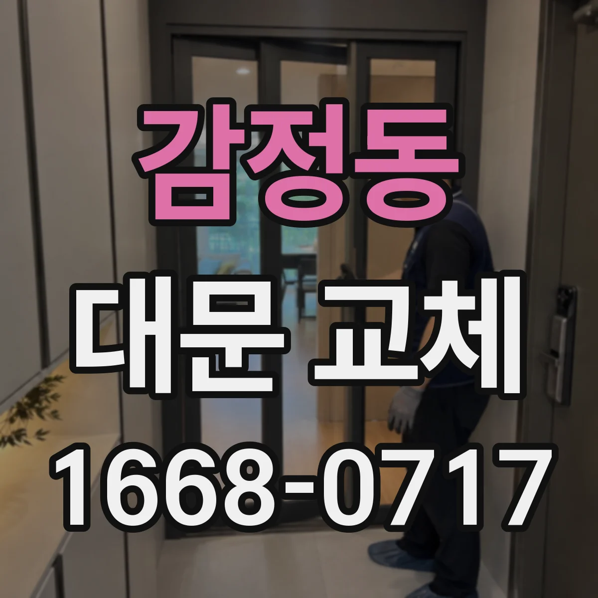 감정동 대문 교체