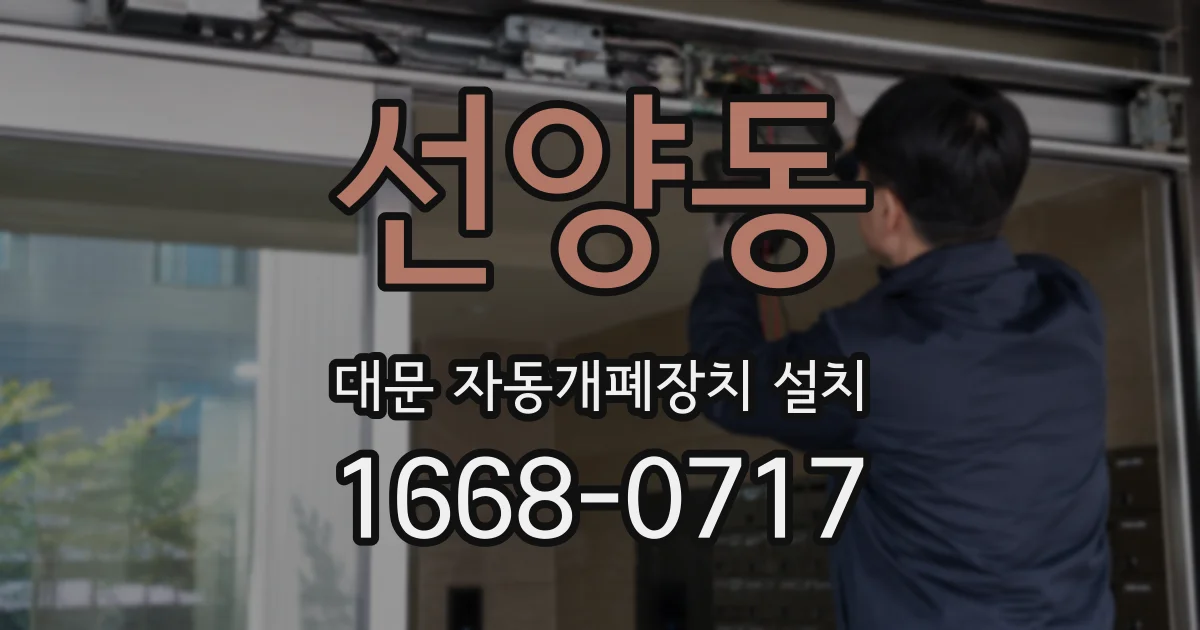 선양동 대문 자동개폐장치 설치