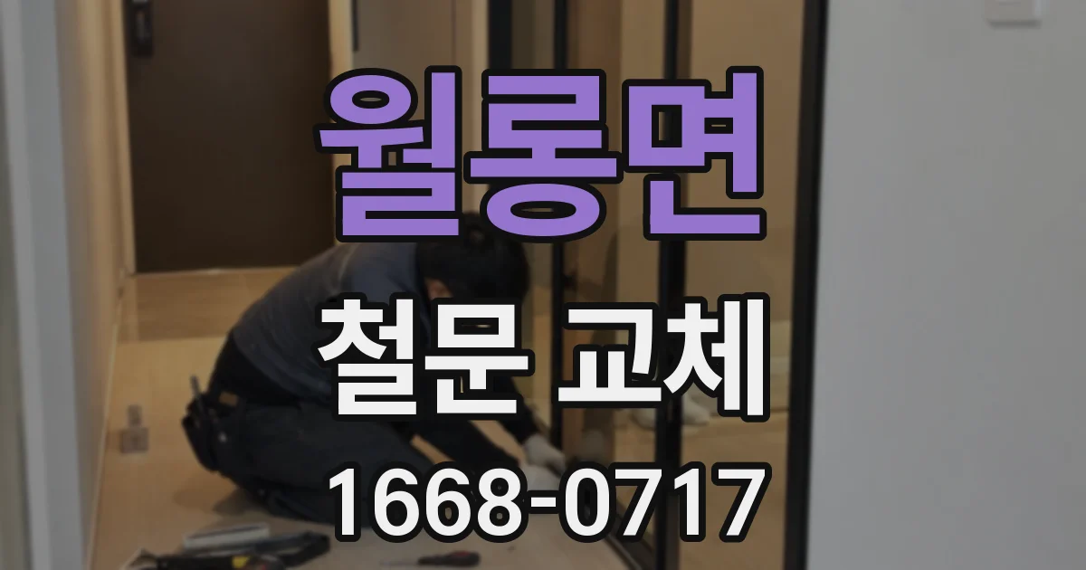 월롱면 철문 교체