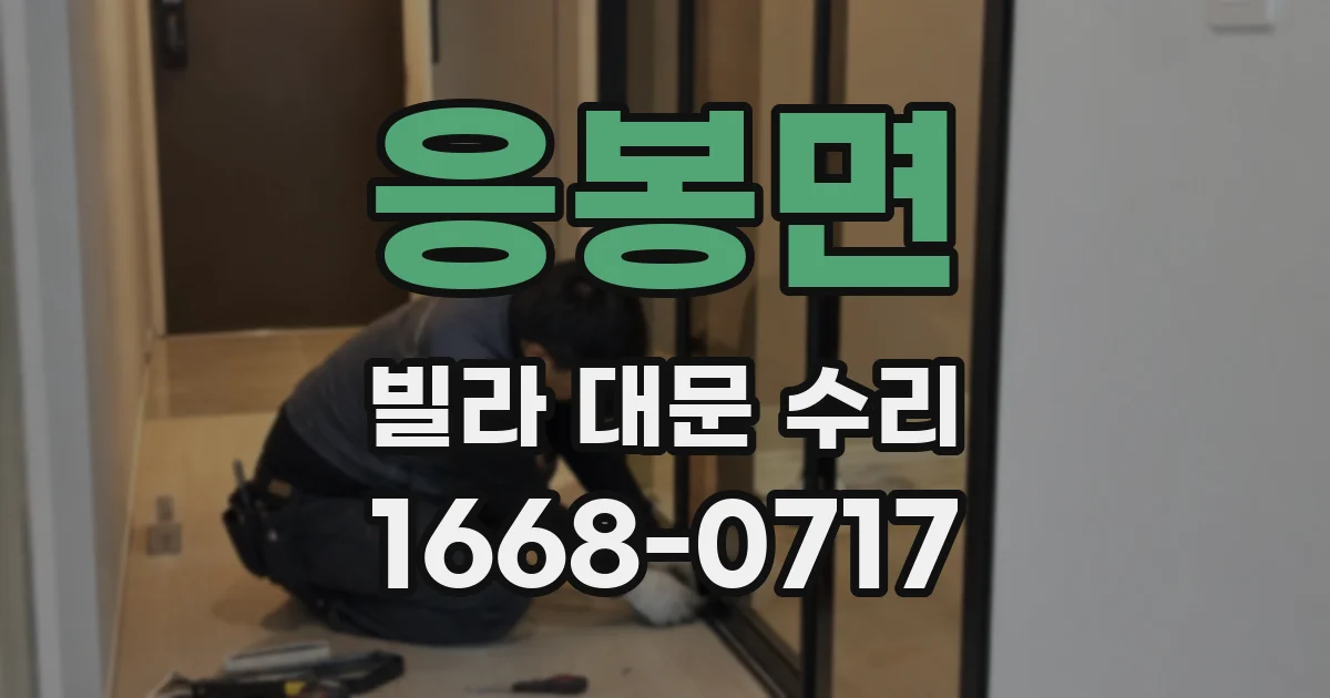 응봉면 빌라 대문 수리
