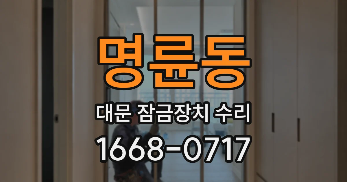 명륜동 대문 잠금장치 수리