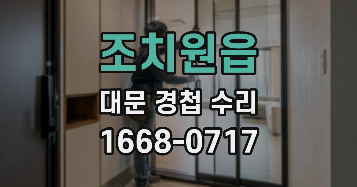 조치원읍 대문 경첩 수리