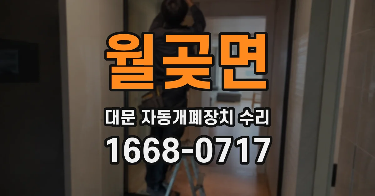 월곶면 대문 자동개폐장치 수리